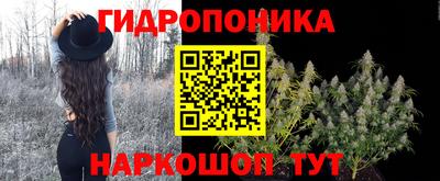 прущие грибы Кумертау
